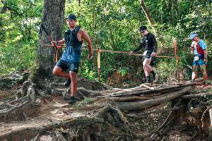 BIB: 
                            <button type="button" onclick="openModal(27557196)" class="btn btn-primary btn-sm float-right btn-popup" data-toggle="modal" data-target=".modal-high-quality">
                        <i class="fas fa-shopping-cart"></i> Add to Cart
                    </button>
                                            <button type="button" onclick="isThisMe(27557196, true)" class="btn btn-success btn-sm float-right btn-popup btn-isme hidden" data-toggle="tooltip" data-placement="bottom" title="นี่คือรูปของคุณใช่ไหม คลิกที่นี่เพื่อเอาเข้าอัลบั้ม">
                        <i class="fas fa-plus"></i> Add to album
                    </button>
                    <button type="button" onclick="isThisMe(27557196, false)" class="btn btn-warning btn-sm float-right btn-popup btn-isnotme hidden">
                        <i class="fas fa-ban"></i> Remove from album
                    </button>